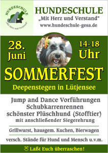 Plakat sommerfest 2014