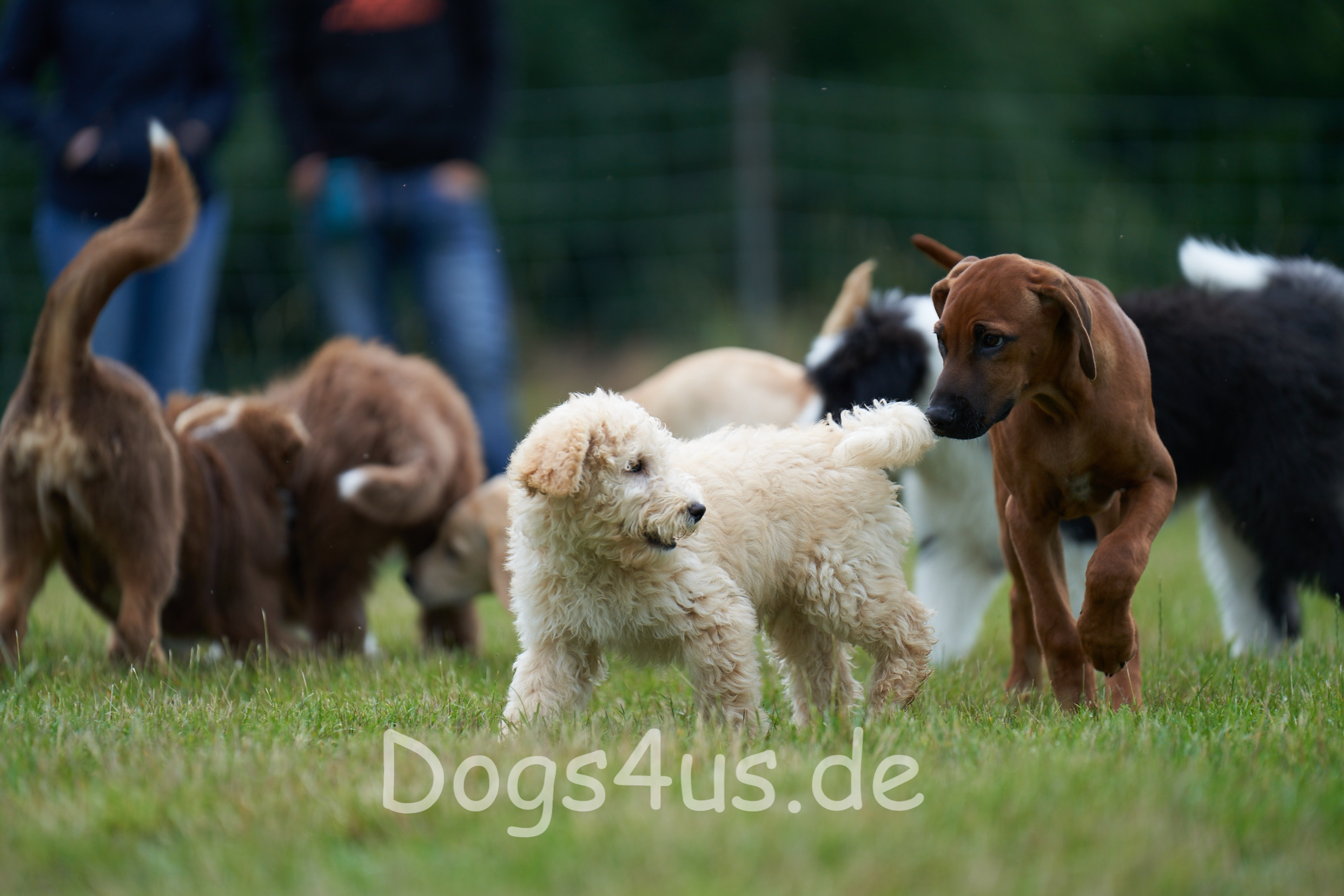 Wann gehen die Kurse wieder los?