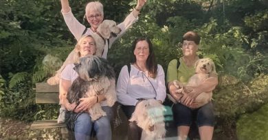 Hundespielen am Mittwoch, dem 18.2.2026