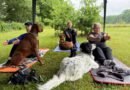 Neu ! Dog Yoga mit Kathrin!